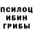 Псилоцибиновые грибы прущие грибы Hidret Ficus