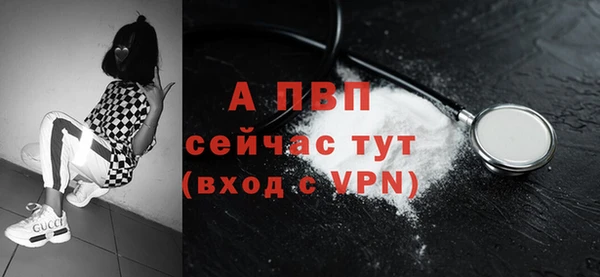 спайс Богданович