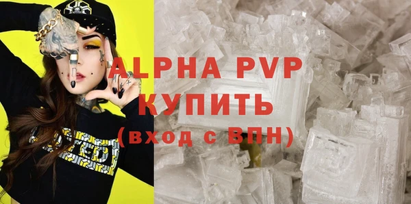 спайс Богданович