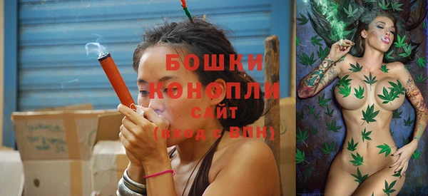 спайс Богданович