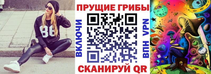Псилоцибиновые грибы Magic Shrooms  Купить  Новоуральск 